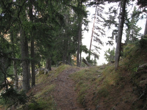 #12 Cruc : Super grip sur ce terrain Cruc : Super grip sur ce terrain