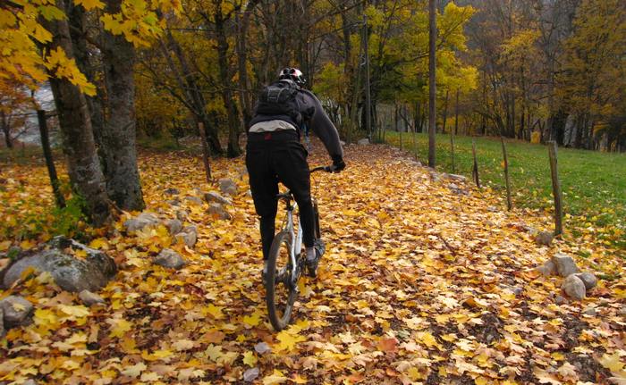 Sainte Marie du Mont : Encore de belles couleurs