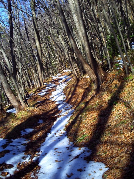 Sous le col du Razet : La neige disparait