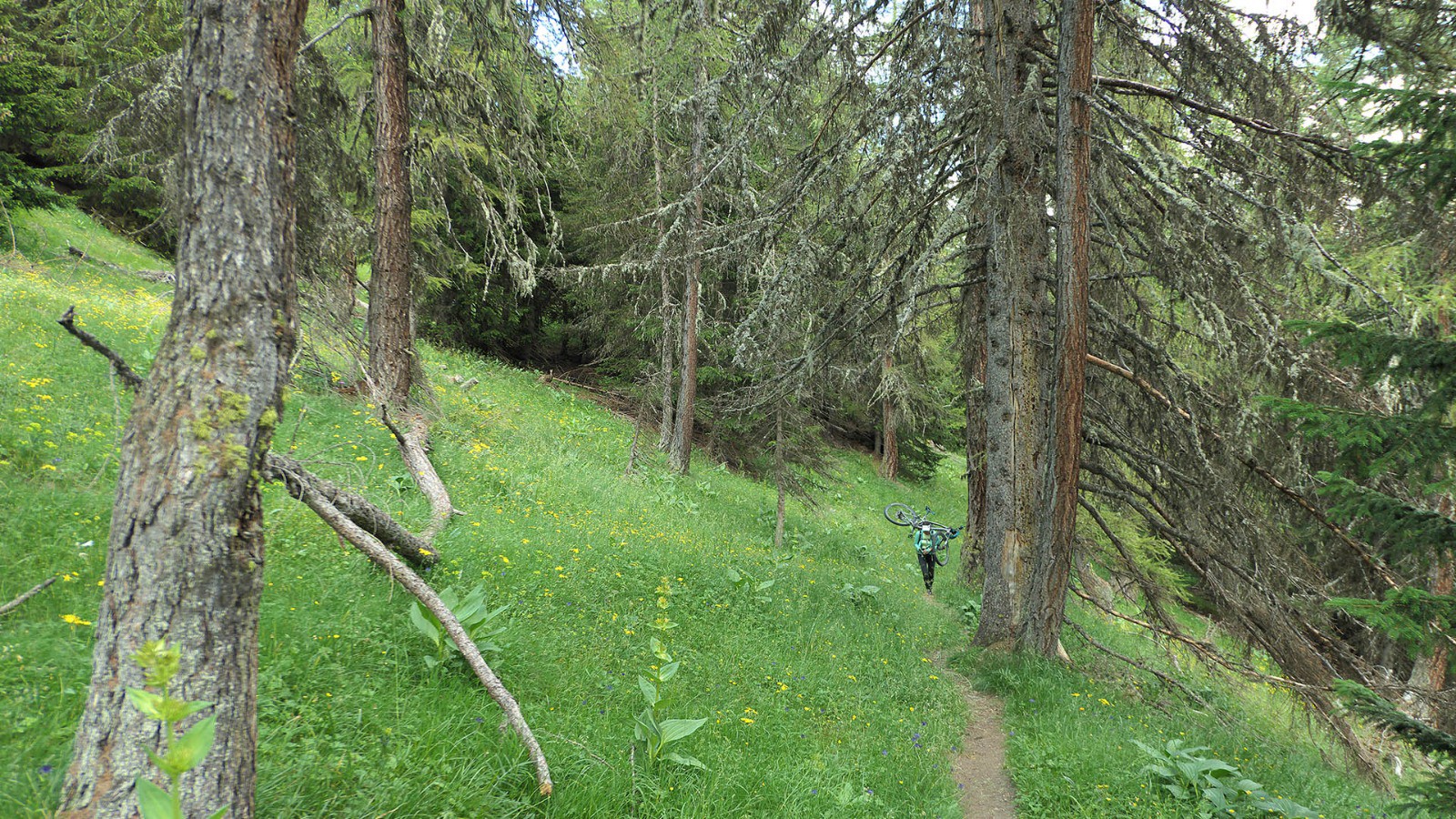 Sur le versant sud du Mont Saron, on reprend de l'altitude sur un magnifique single