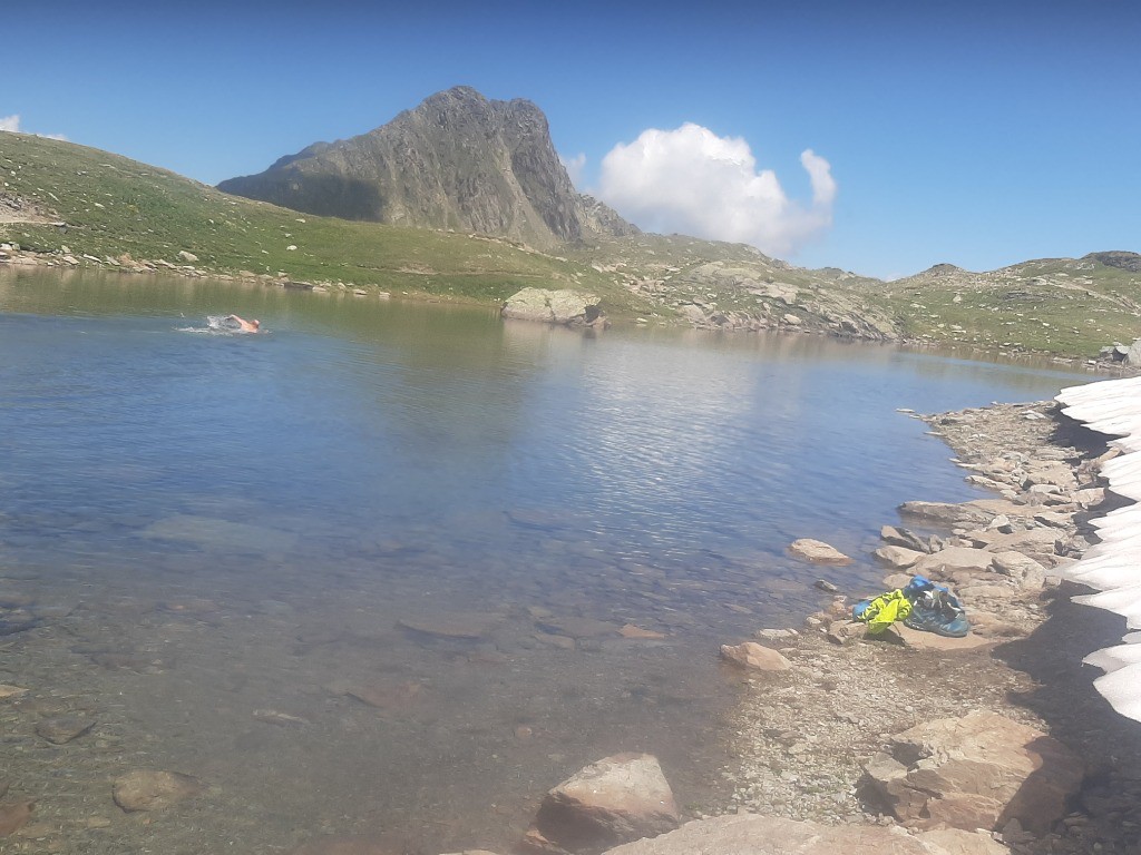 Piscine naturelle bien rafraichissante