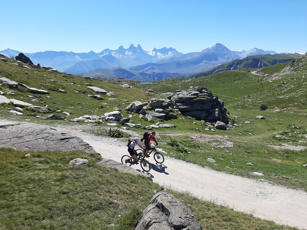 Fond d aiguilles d Arves