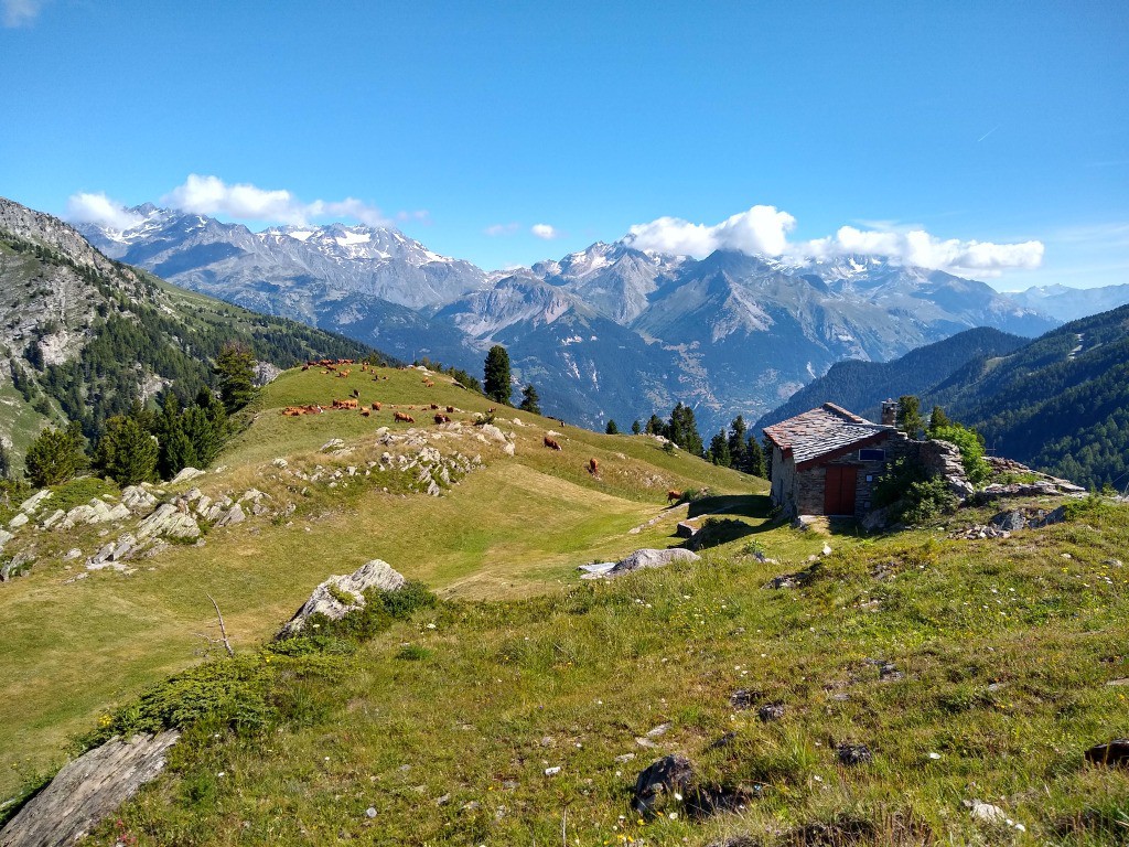 #1 Le Jeu Le Jeu