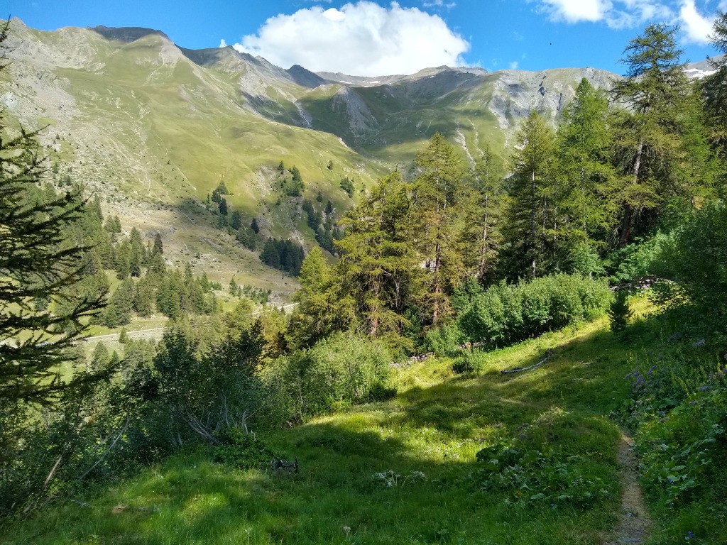 #30 Les Bovenières Les Bovenières