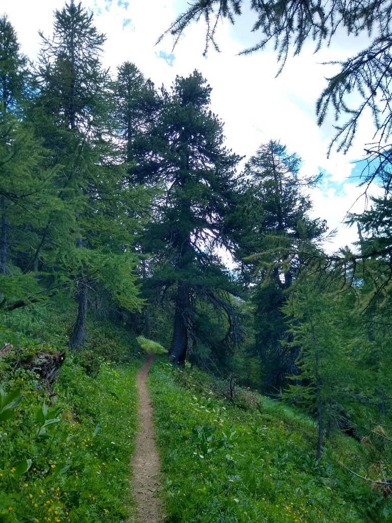 Sentier des Gardes