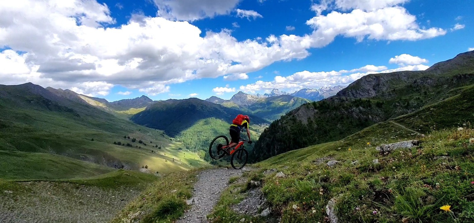 Bobo-nose, sous le col des Thures