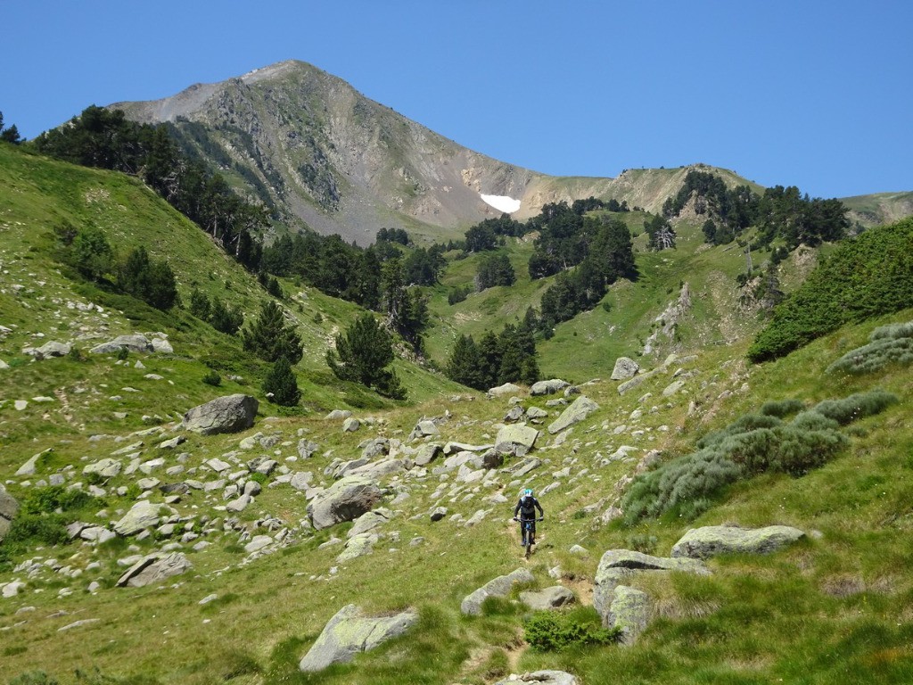 On vient de là haut