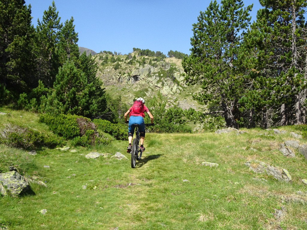 Ca roule plutôt bien dans la partie plate