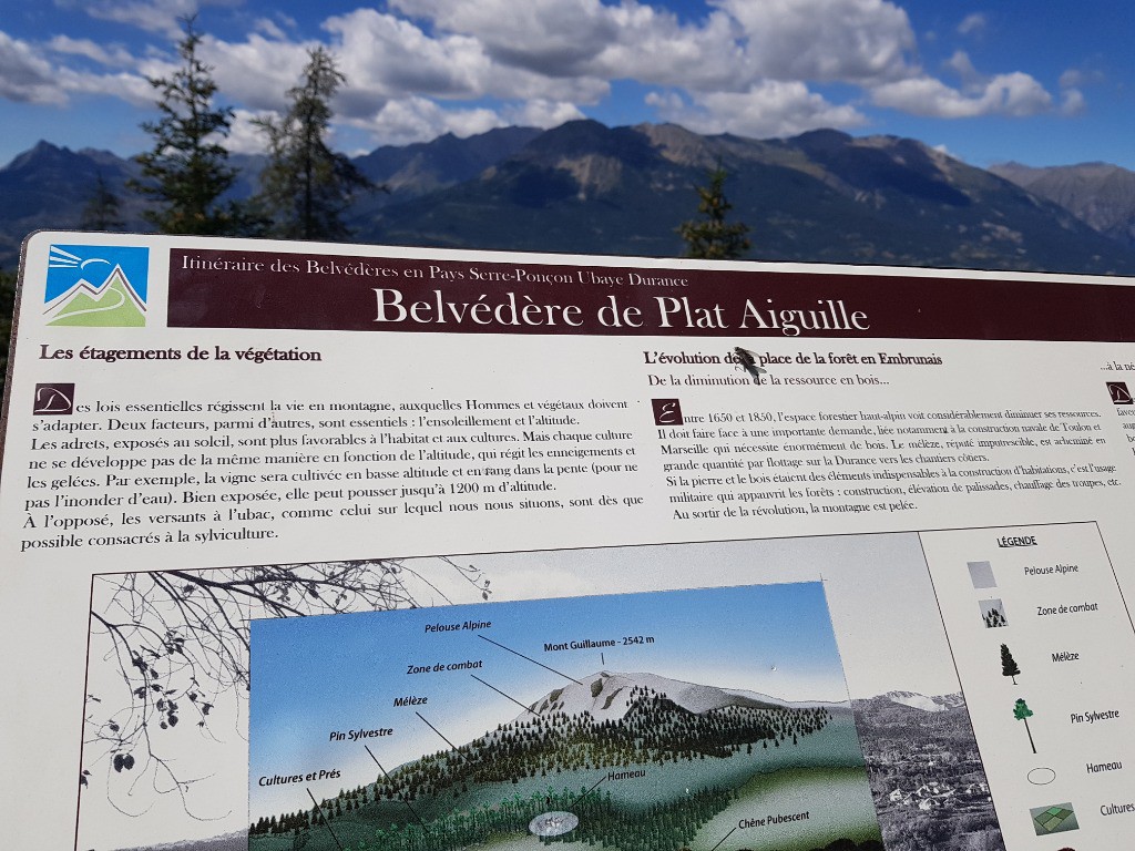 Le Mont vu du Béveldère