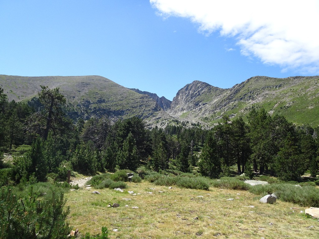 Barbet à gauche, Canigou à droite