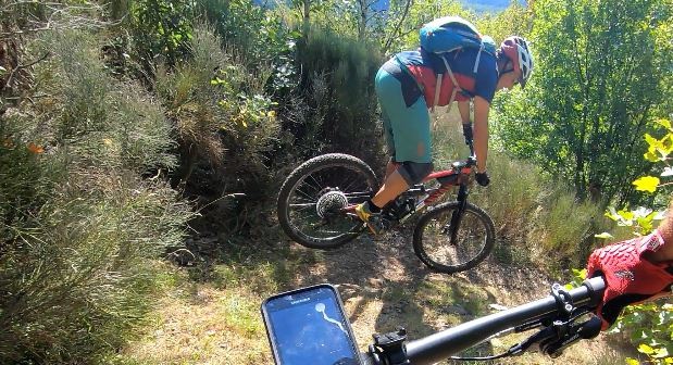 #35 Lamouette en bec-wheel Lamouette en bec-wheel