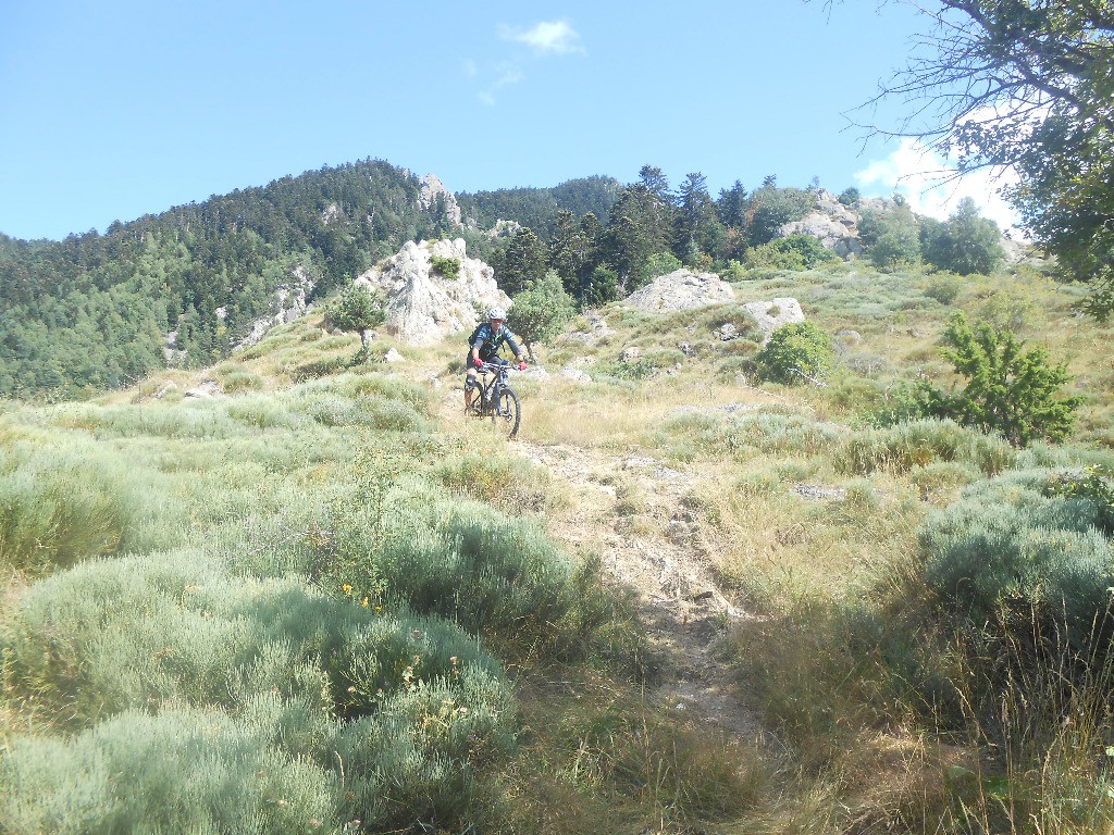 Vers les bergeries de Lasseras