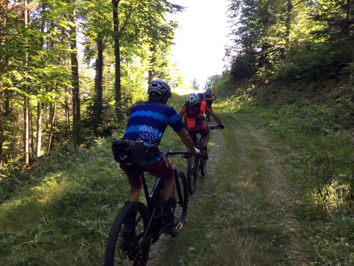 belle piste de montée