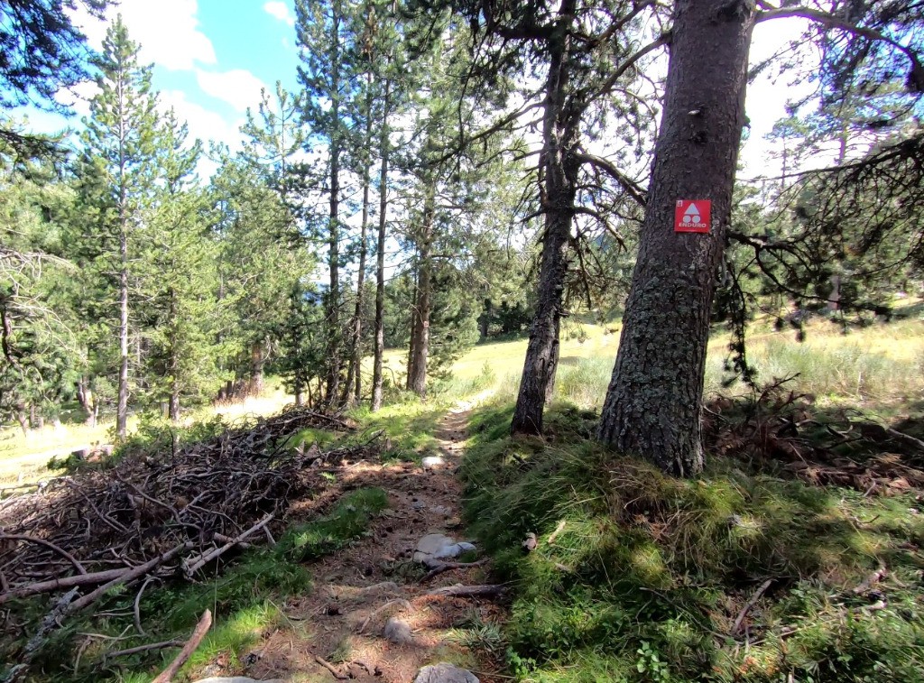 Une (rare) portion sage de l'Enduro Bosc Negre