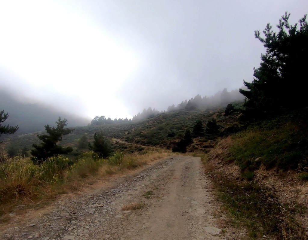 Montée au dernier gros col de la journée