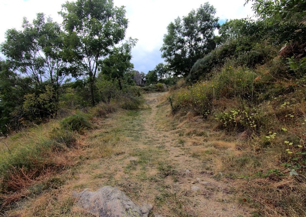 Montée après Sauto, fais sauter le cardio