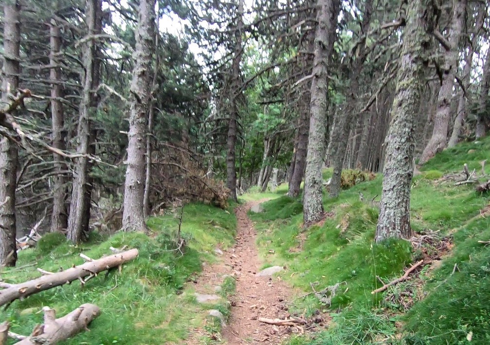 Le must de la journée : descente sur Caudies puis Railleu