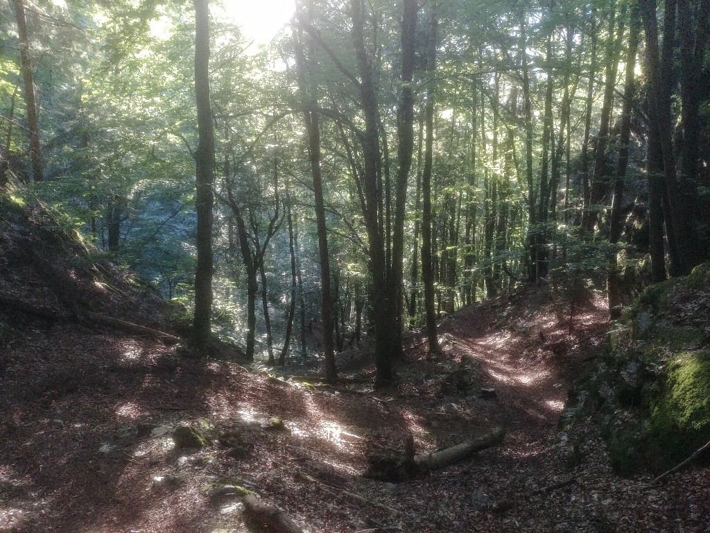 Descente du Mont Borrel : ambiance nickel