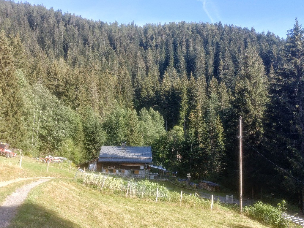 Le Pontet, niché en pleine forêt au dessus de Montfort