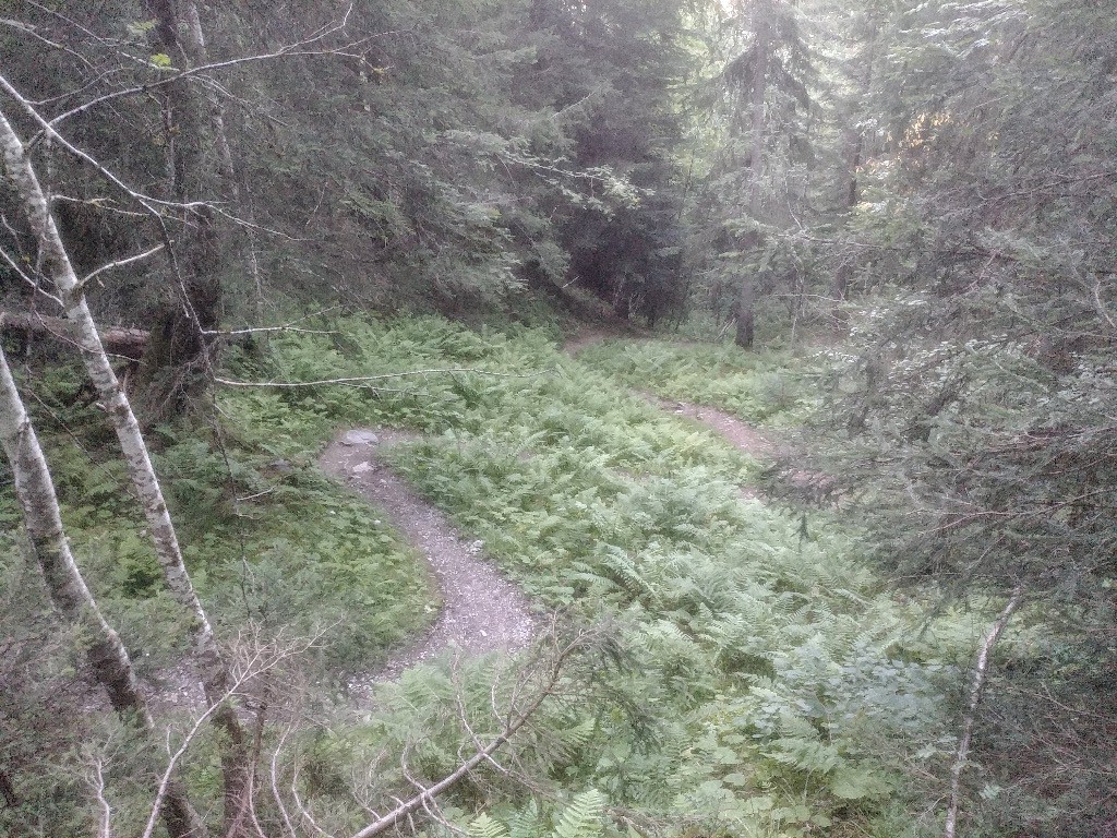 Sentier des Bouchards