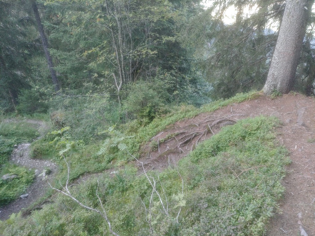 Sentier des Bouchards