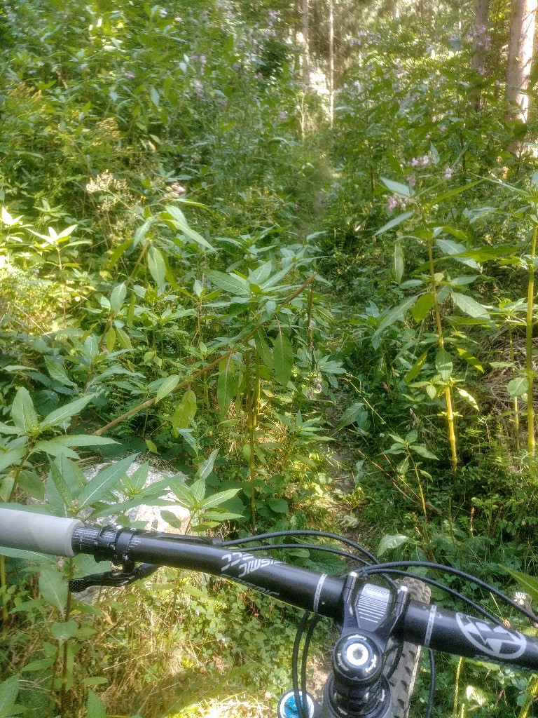 Sentier des cheminées : euh y'a quelqu'un ?