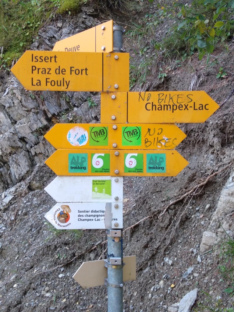 #34 TMB sous Champex. No bike? TMB sous Champex. No bike?