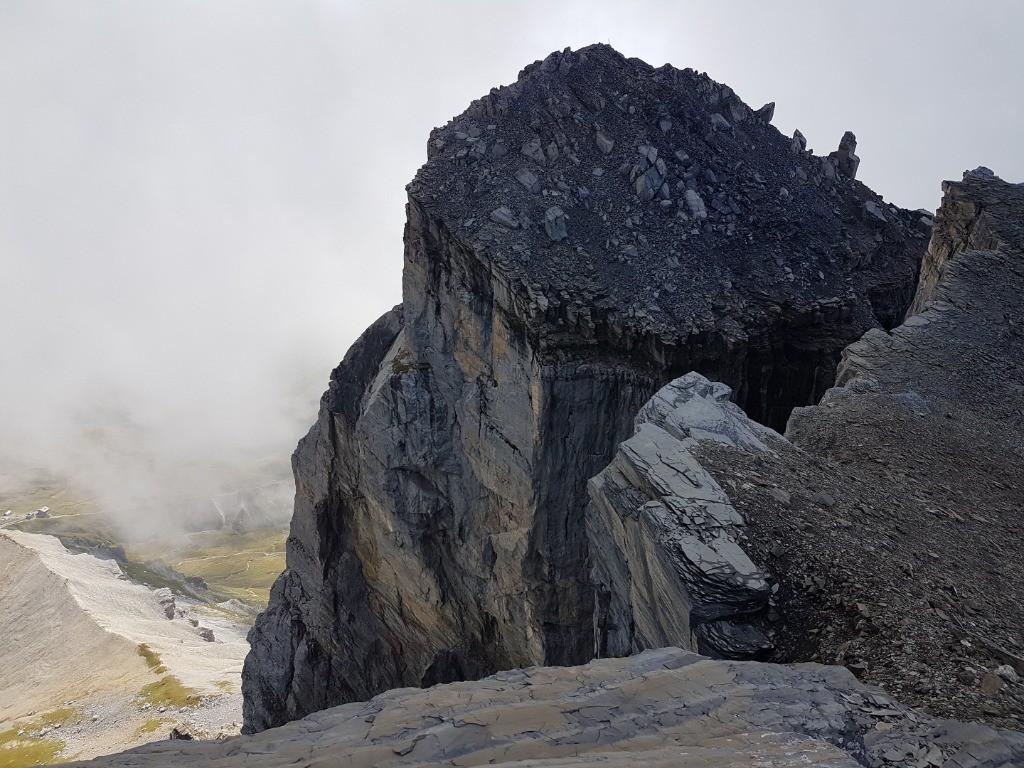 L’arête beige, au-dessous c’est L’arête de l’épaule du Col d’Anterne.