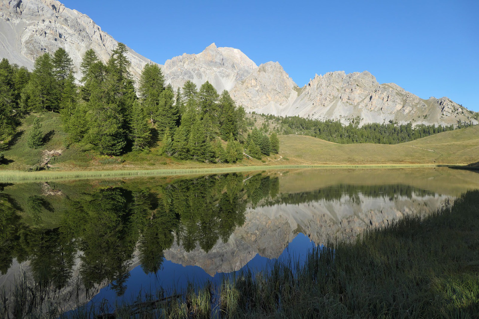 #8 Ô Miroir... Ô Miroir...