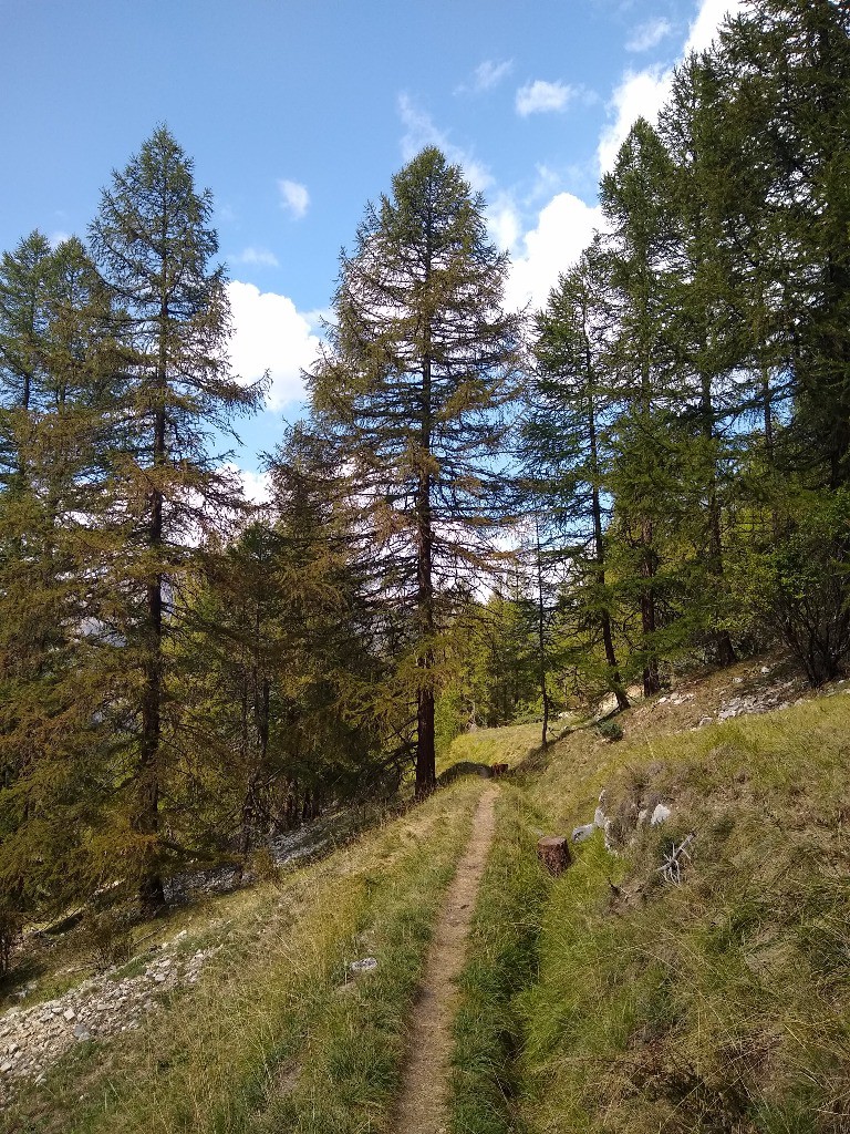 Sentier découverte pour le retour à Ceillac