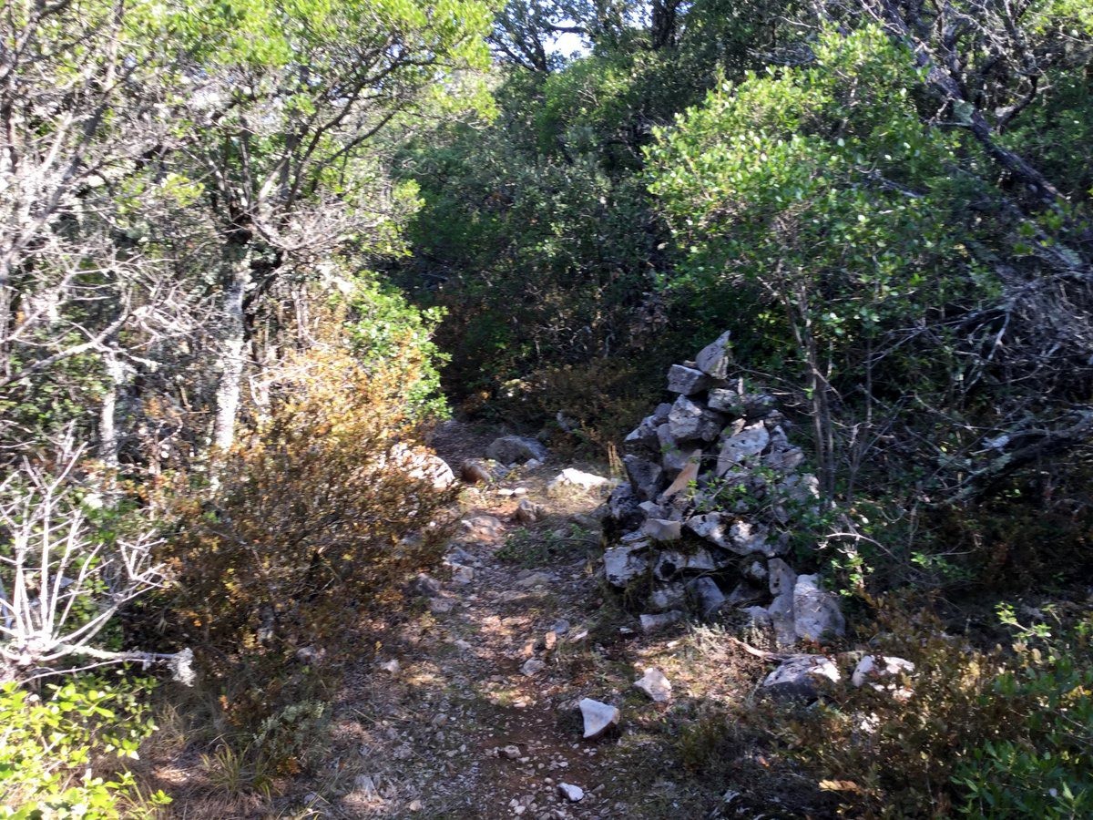 des cairns aux odeurs de thym