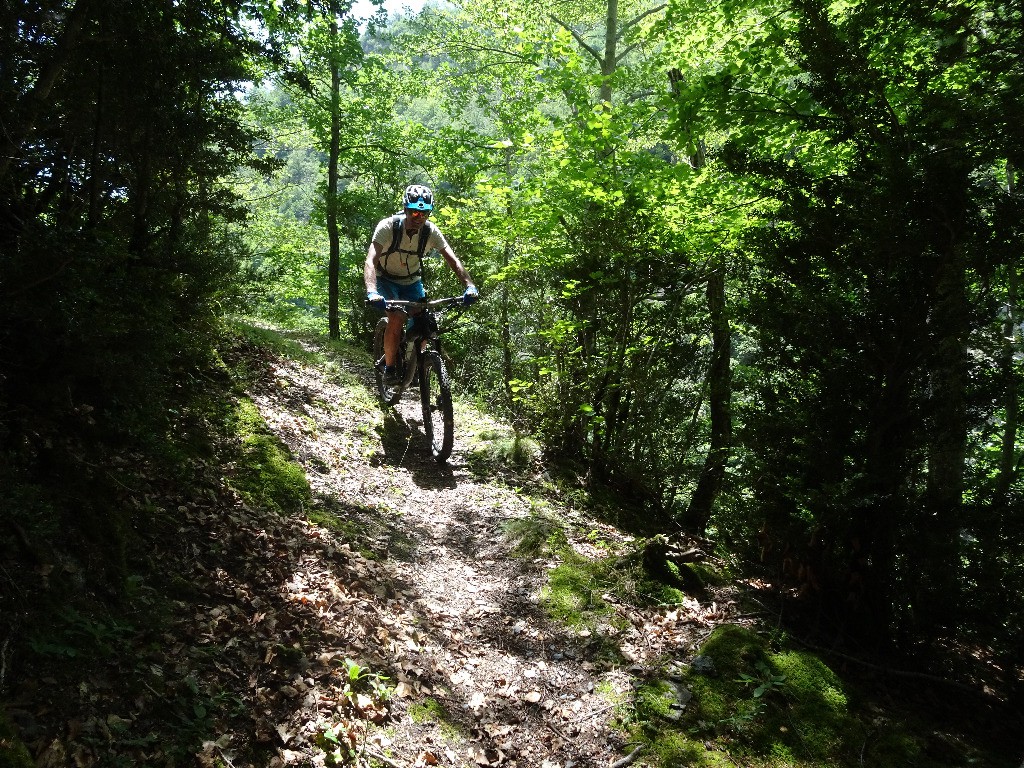 #15 Cami de la Creu, descente sur le Riu Llauset Cami de la Creu, descente sur le Riu Llauset