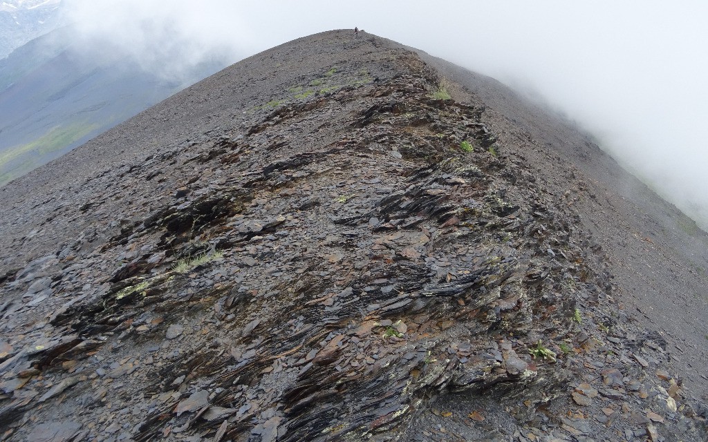 #16 Un peu d Un peu d'arête