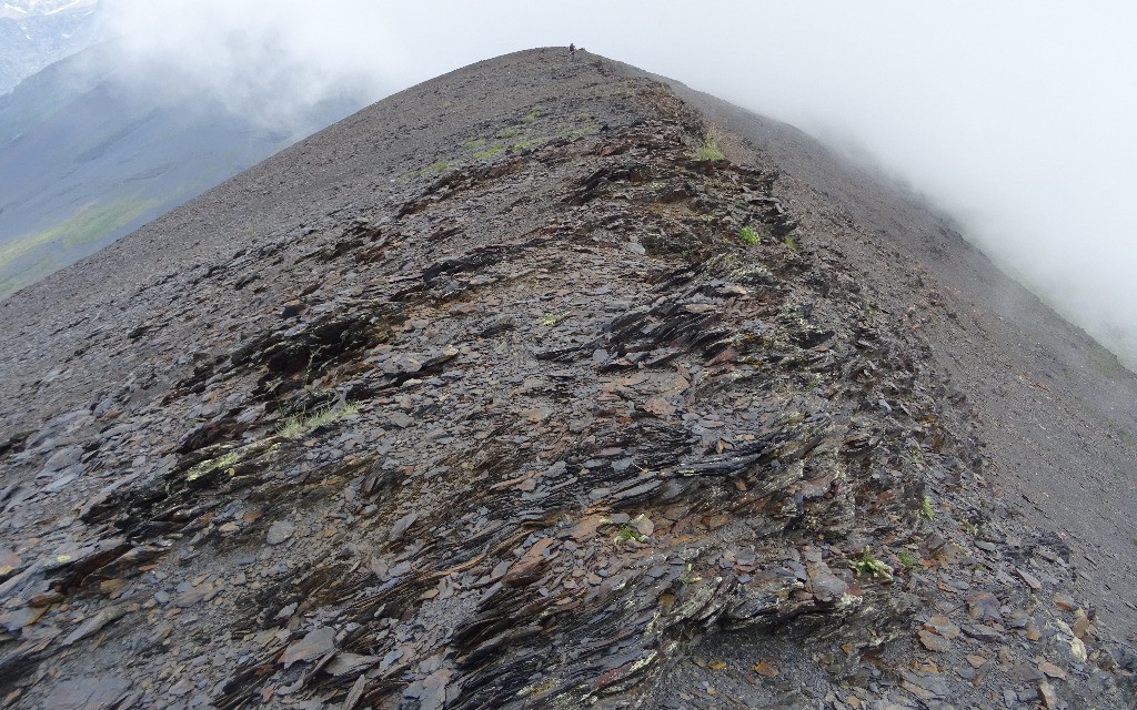 Un peu d'arête