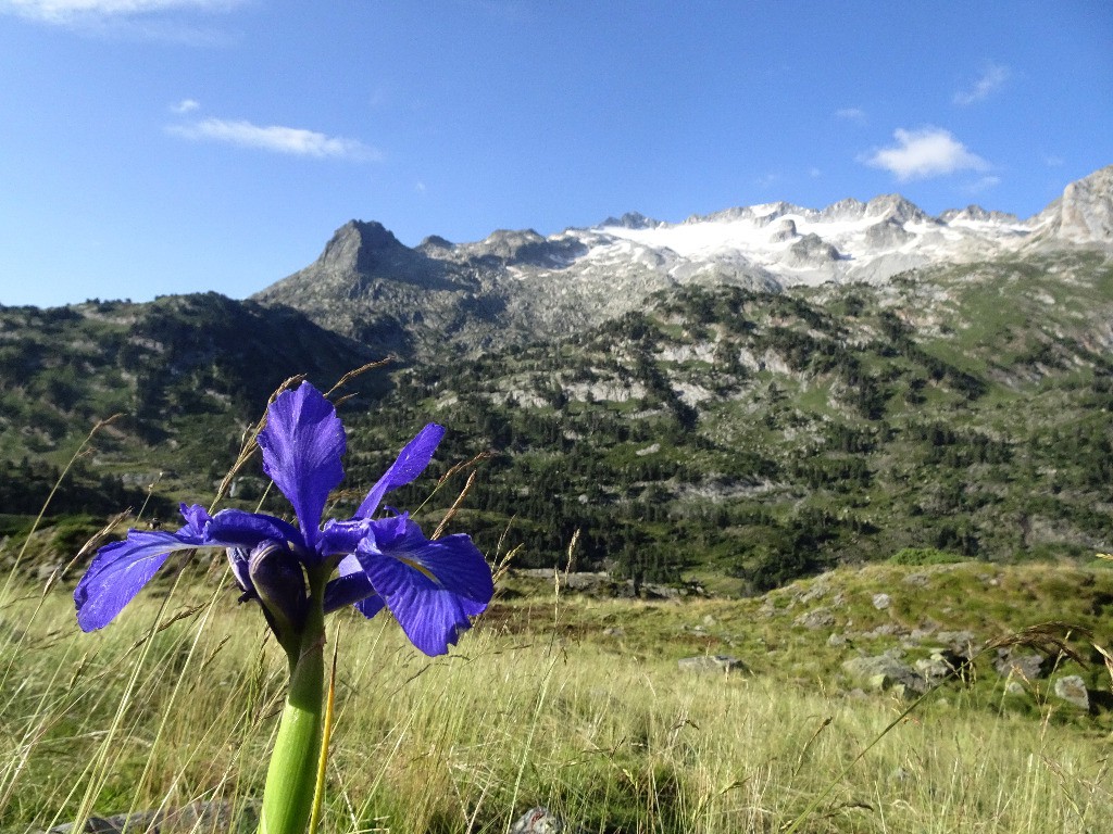 Iris et glaciers de la Maladetta