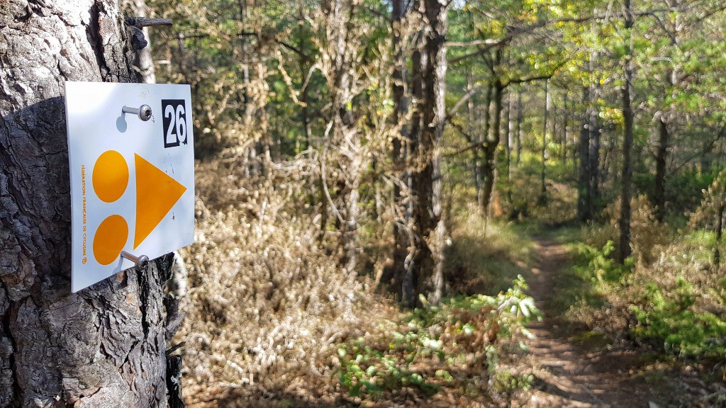 Le 26 fait l'essentiel du tracé