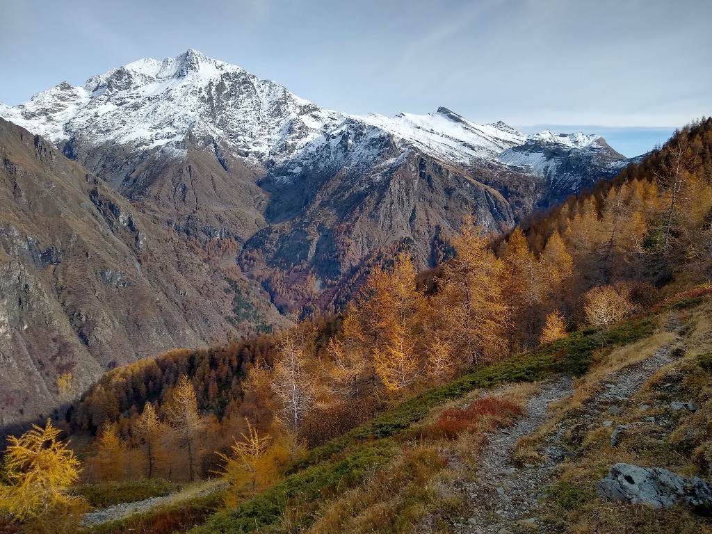 Descente du Col du Cendrier