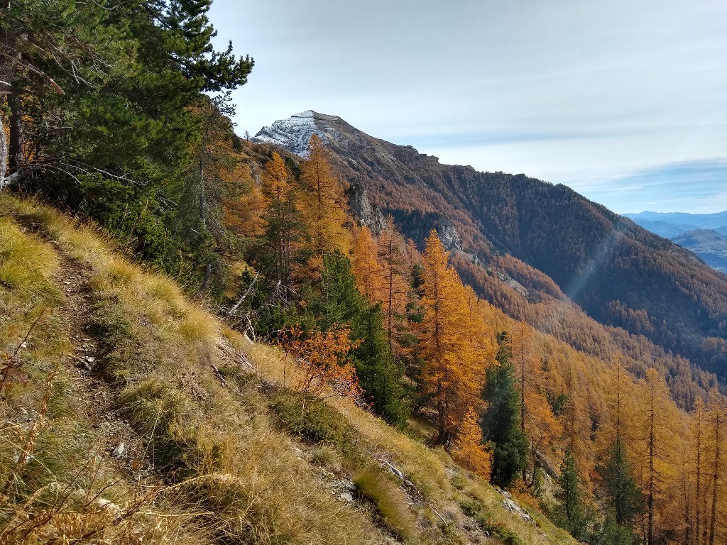 Montée au Col du Cendrier