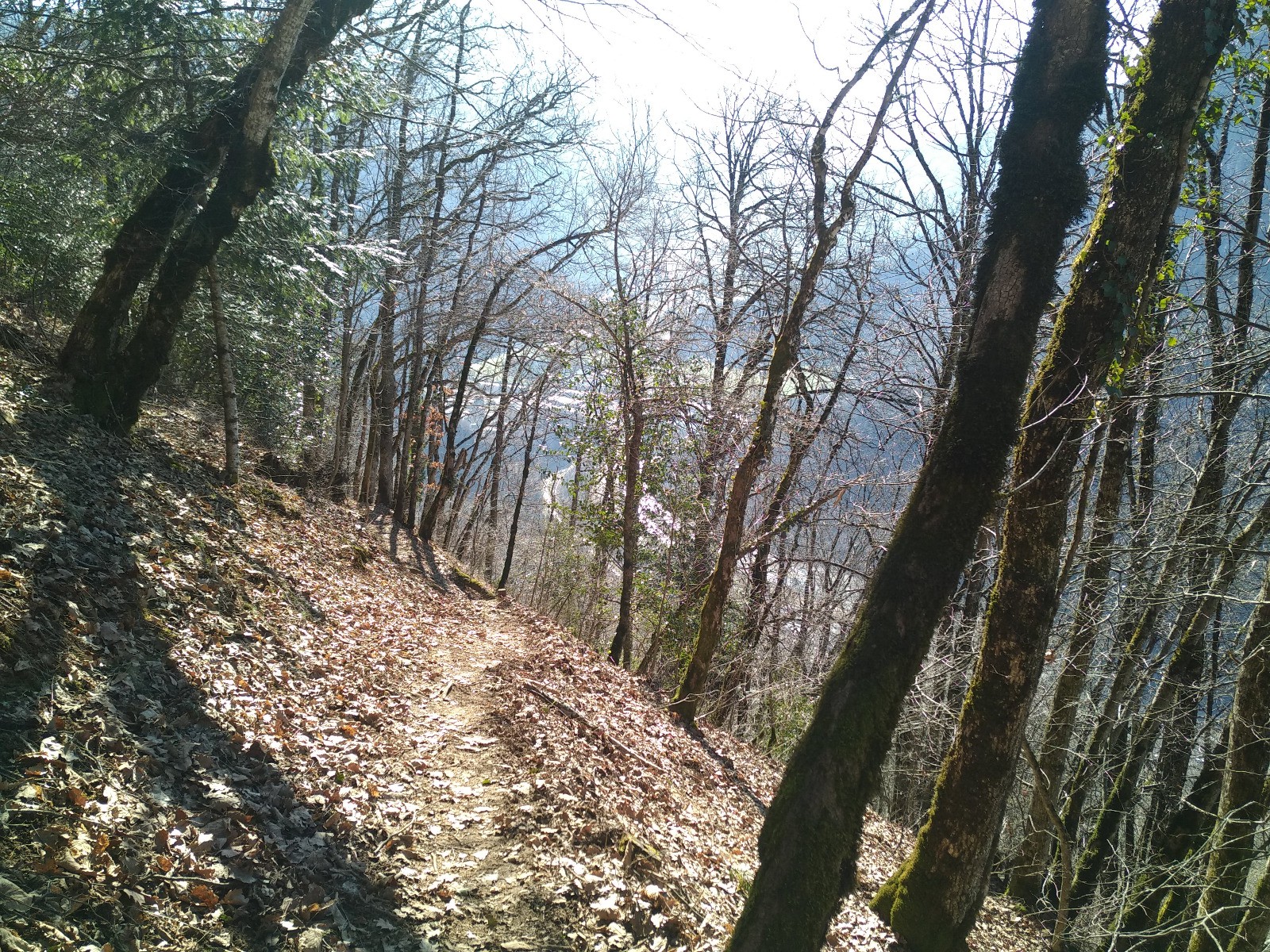 #3 Sentier du May. Sentier du May.