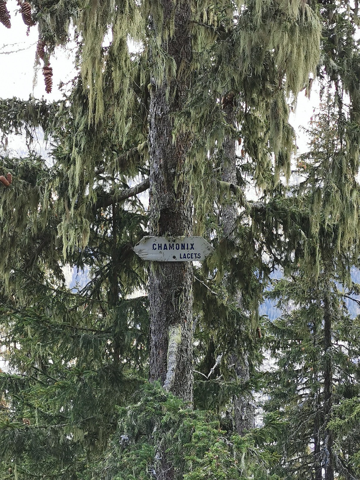 #7 J J'aime bien ce panneau