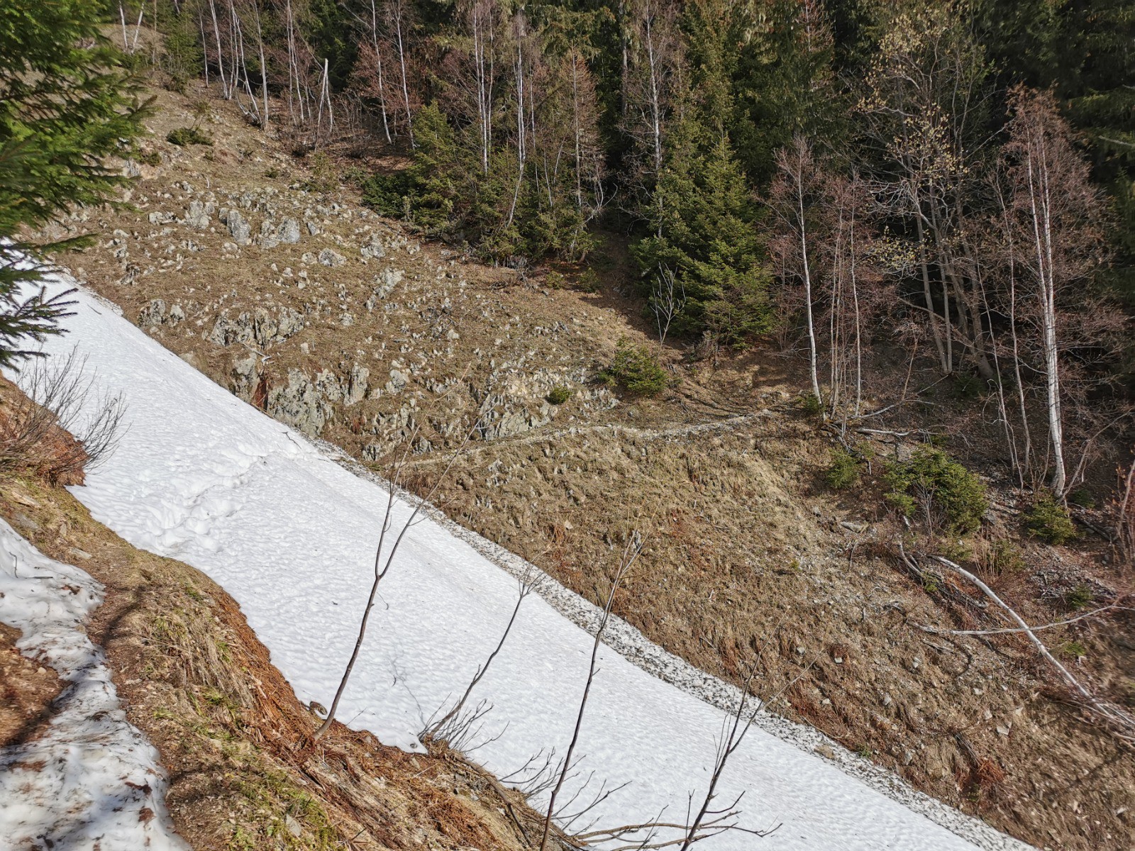 Vers la piste de Plan Praz