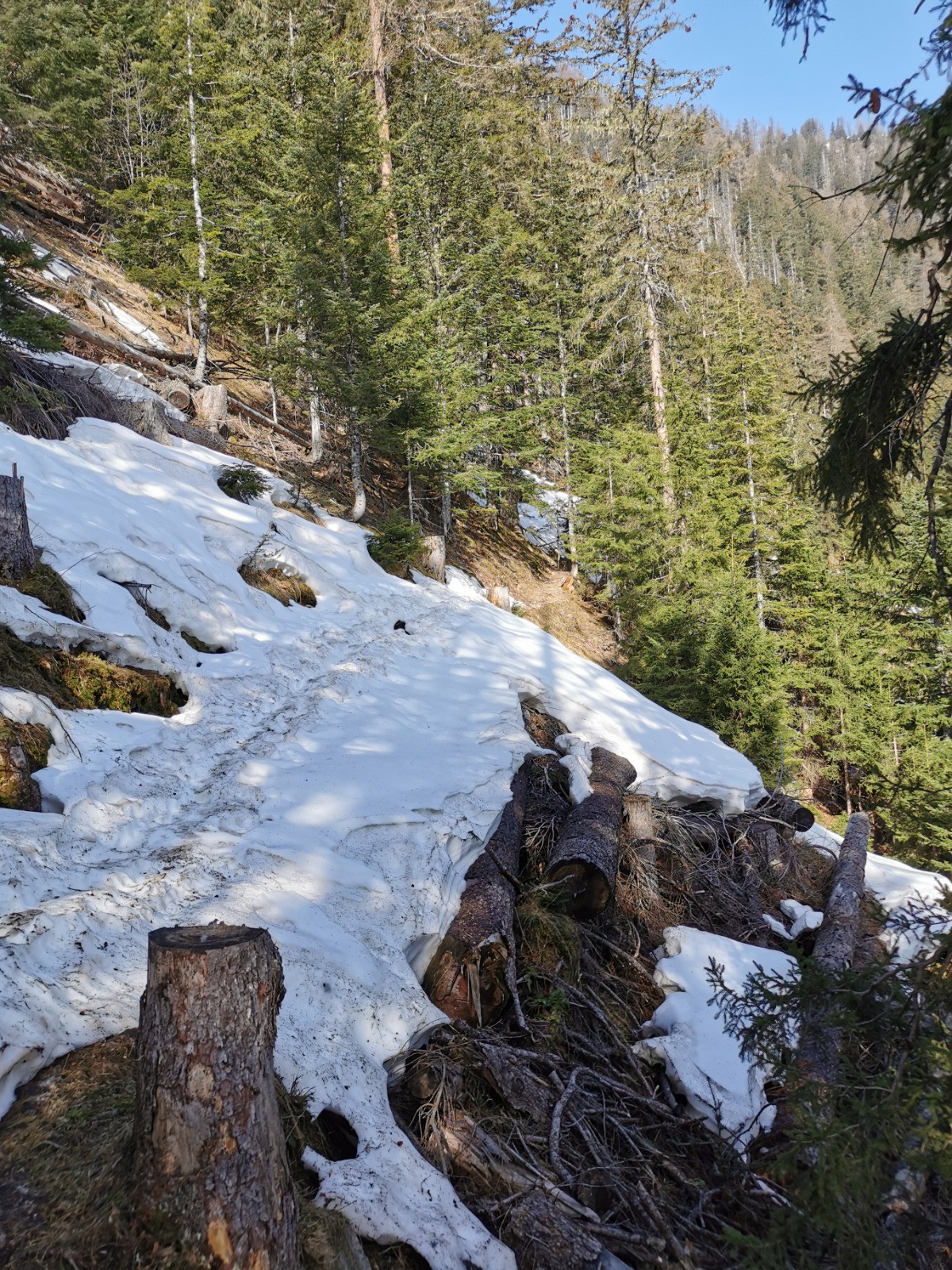 Vers la piste de Plan Praz