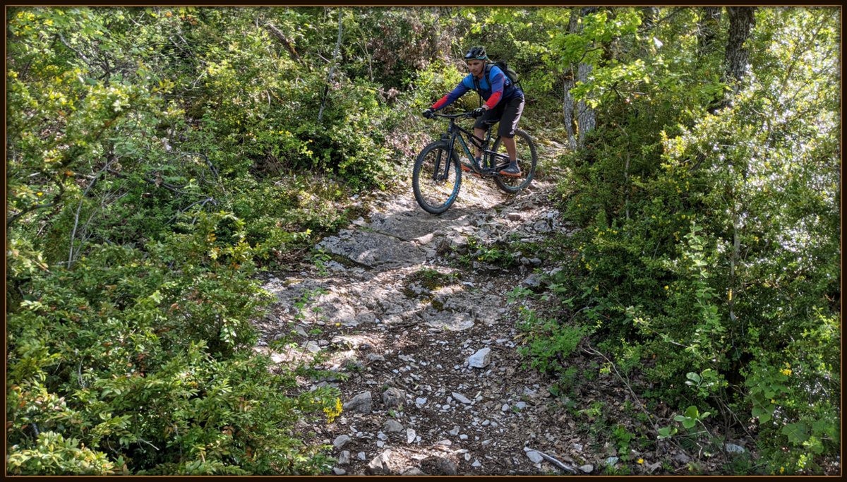 #20 dalounnette dalounnette