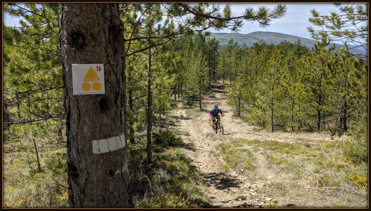 #10 sentier de Pluc en montée sentier de Pluc en montée