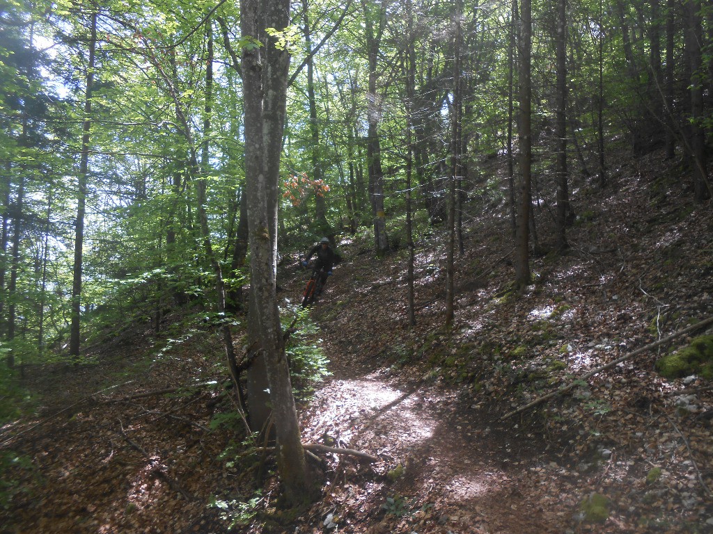 Sentier nord de la Charvaz