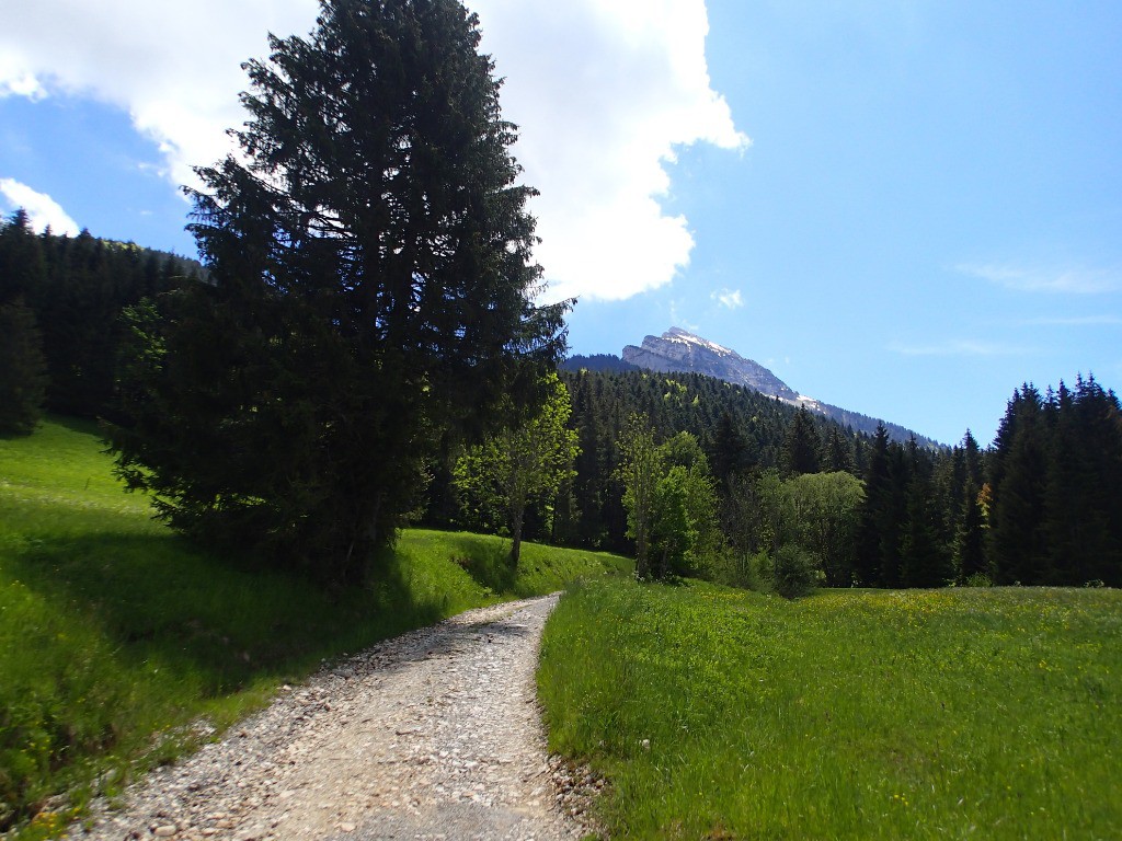 #10 C C'est parti pour la longue montée de la piste vers le col de Porte...