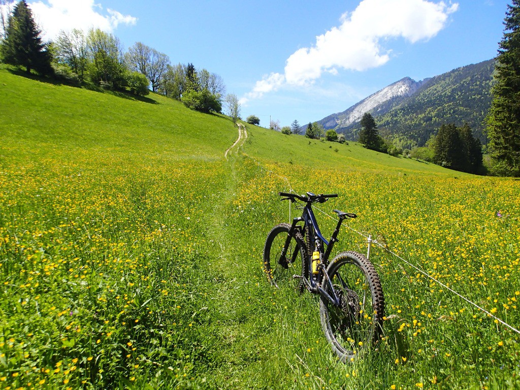 #6 Pour la digestion c Pour la digestion c'est pas idéal, mais quand on aime ...