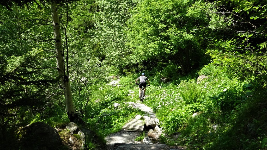 #23 Avant Piget Avant Piget
