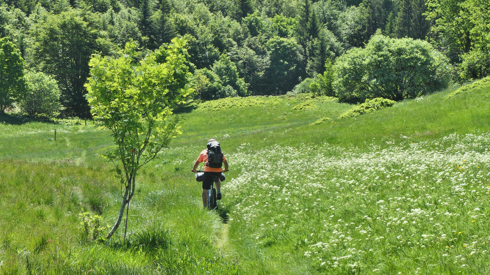 #89 Entre Teête des 9 bOis et Rouge Gazon (J5) Entre Teête des 9 bOis et Rouge Gazon (J5)