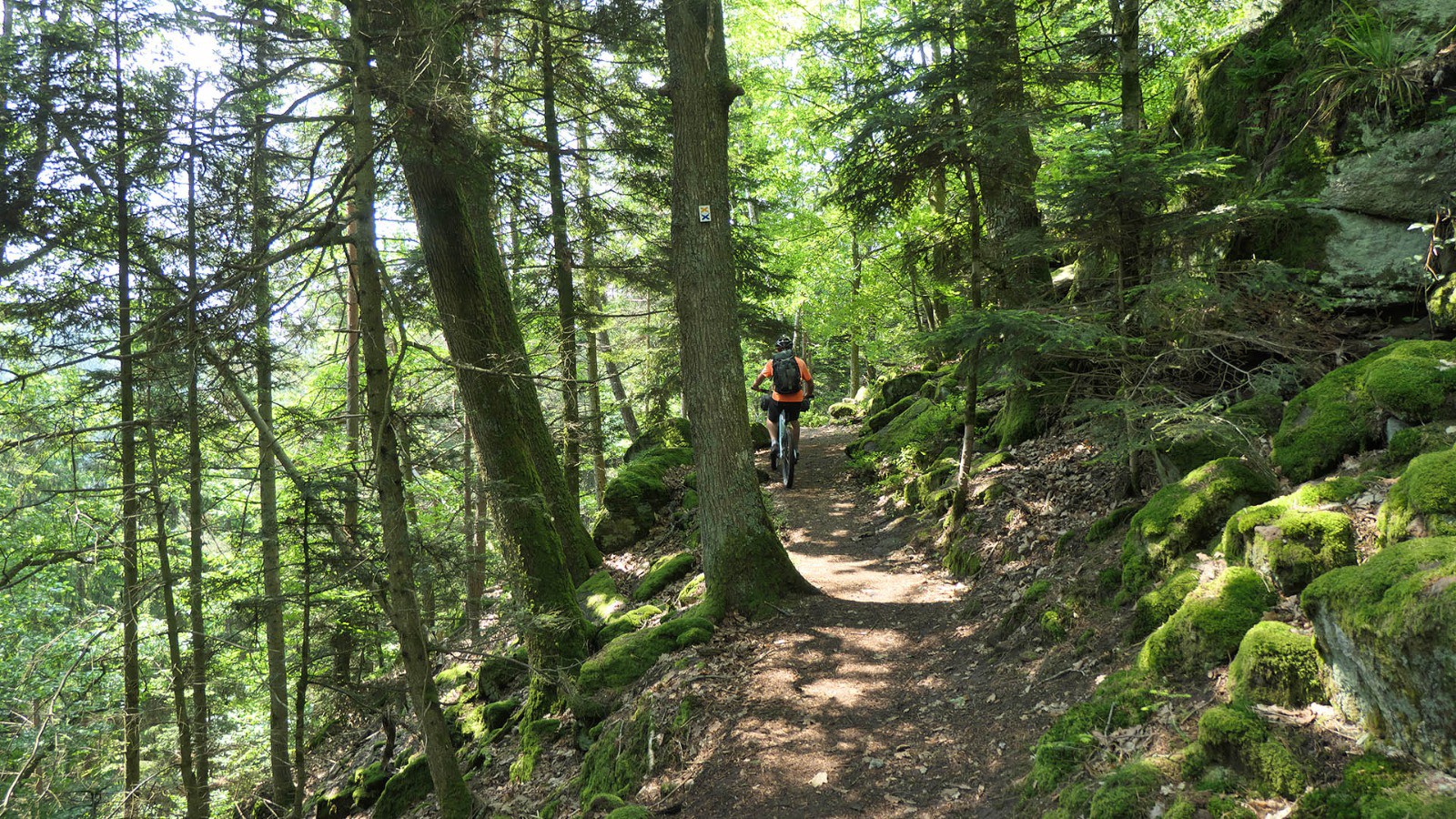 Sentier des Merveilles